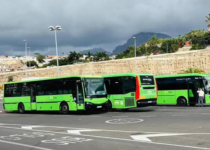 Apartment Blue Ocean Costa Adeje 502 Playa de las Americas (Tenerife)