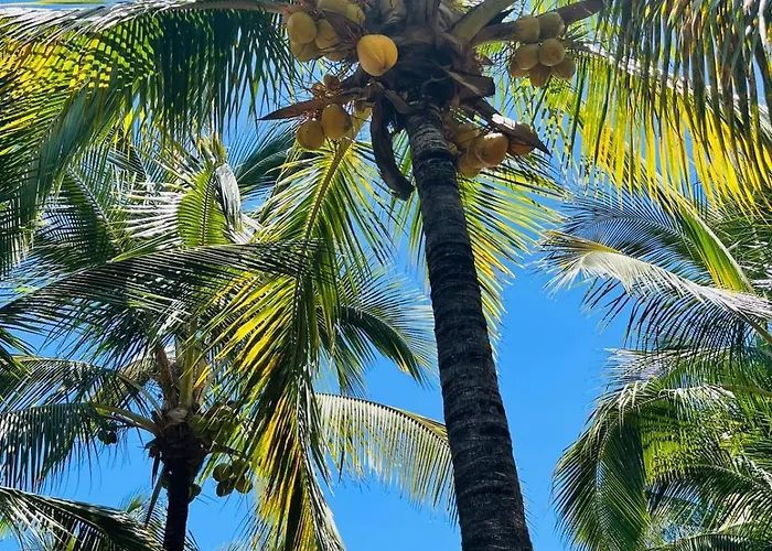Apartment Blue Ocean Costa Adeje 502 *